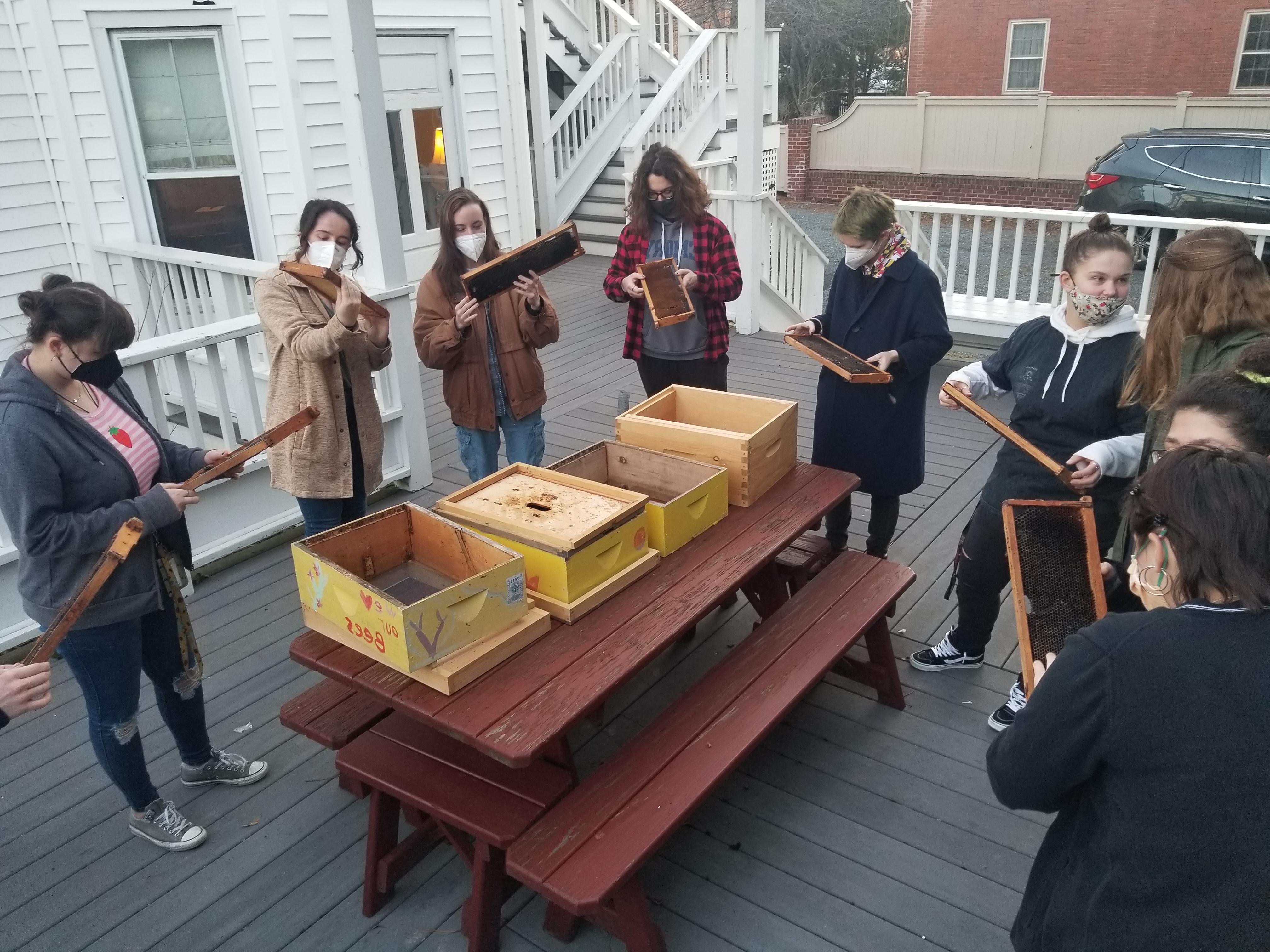 Beekeeping class